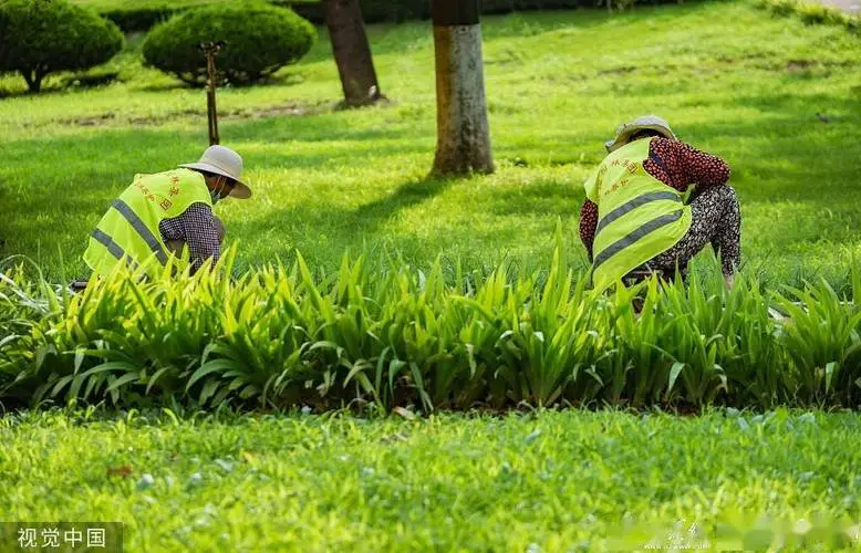 深圳500万绿化工程利润