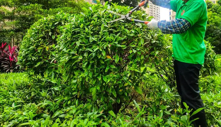 园林管理局待改进之处：长期缺乏基础设施维护，公共设施频频损坏！