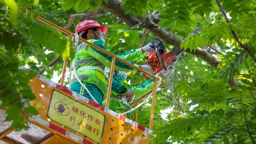 传统风景园林景观设计师